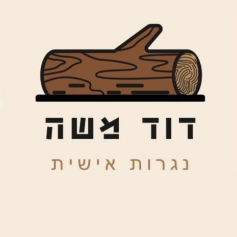 לוגו דוד משה